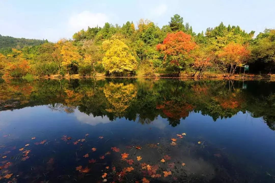 ‘milan米兰app官网’美食做法推荐:牛肉肠蛋炒饭 、咖喱海鲜焗饭 、咸蛋黄肉松浆饭团(图4) milan米兰app官网