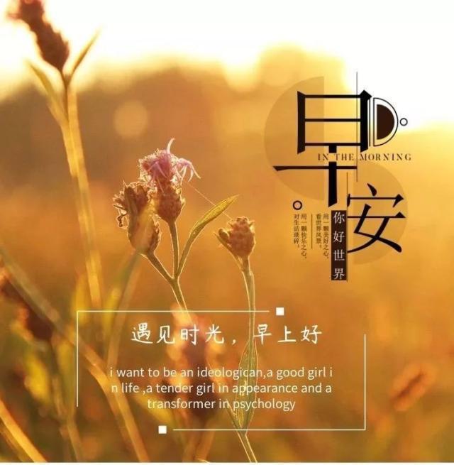 原创 精选美食:红烧冰糖鸡翅中,油豆腐炖白菜,鲜味虾,蒸鱼头的做法|milan米兰(图3) milan米兰app官网