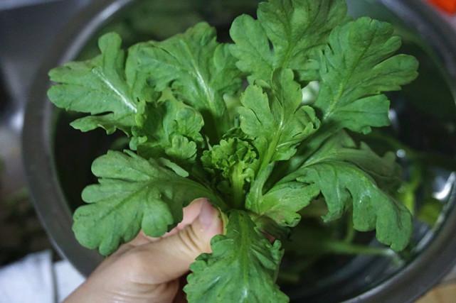 国网霸气来自特高压核心技术_milan米兰app官网(图2) 米兰官方网站