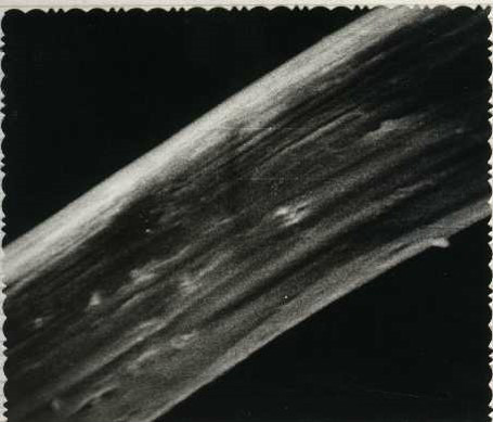 ‘milan米兰’姐姐,我们等你回家过年 | 等着我寻人(图3) milan米兰