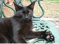 milan米兰app官网